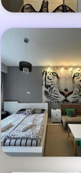 White Tiger in New Gudauri II